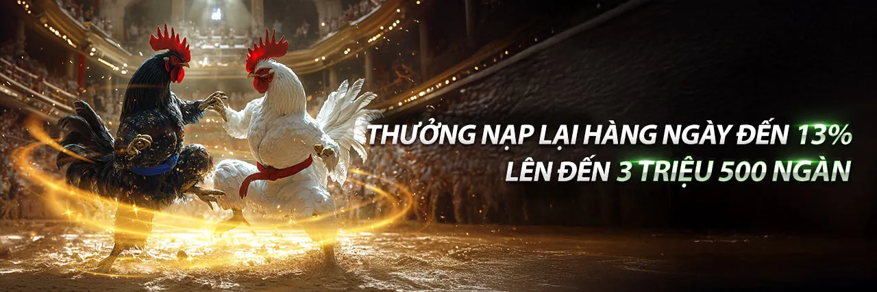 Khuyến mãi 555win12 hấp dẫn