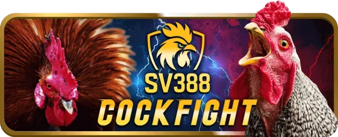 Đánh giá bảo mật 555win12 khuyến mãi