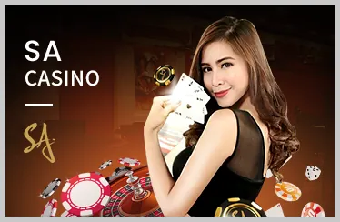 Các ưu đãi đặc biệt và chương trình VIP